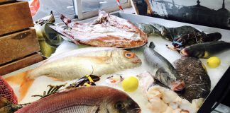 Marisquería Casa Jose (Santander)