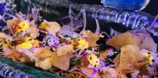 Kaori Ruzafa (Valencia)