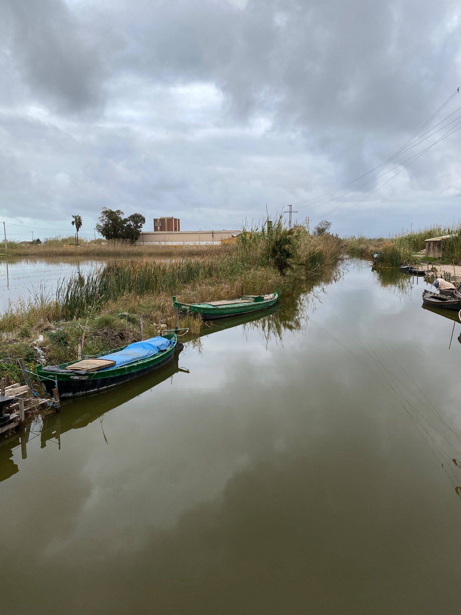 Canal de la Albufera en el El Palmar Canal de la Albufera en el El Palmar