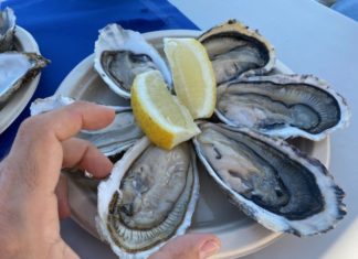 Acueo Ostras del Eo (Castropol, Asturias)