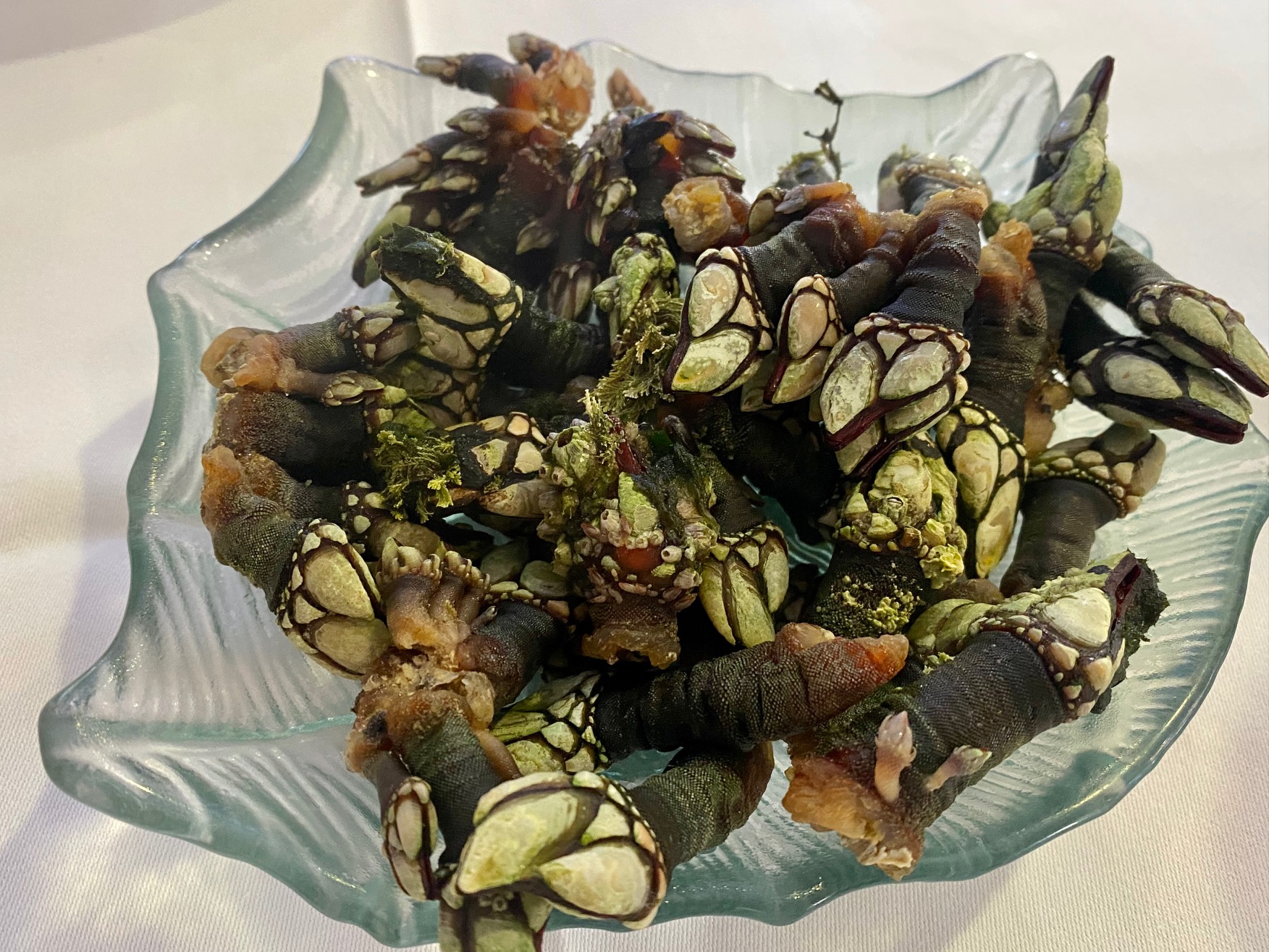 Percebes gallegos en A Cofradía de Rinlo