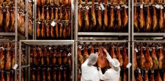 La referencia en la distribución de productos gourmet en Aragón